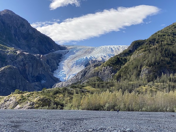 Exit Glacier Trailhead 5