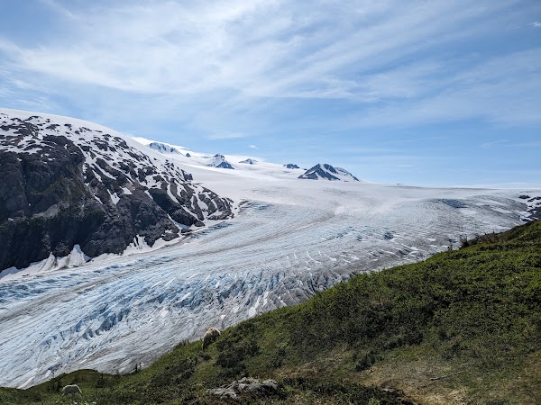 Exit Glacier Trailhead 2