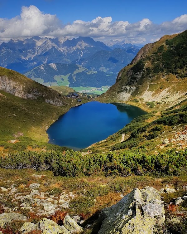 Wildsee 1