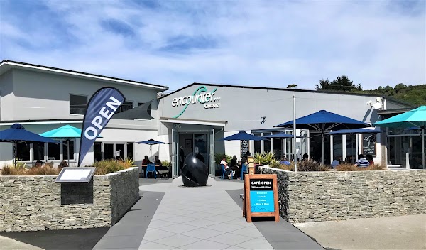 Encounter Kaikoura (Dolphin Encounter) 1