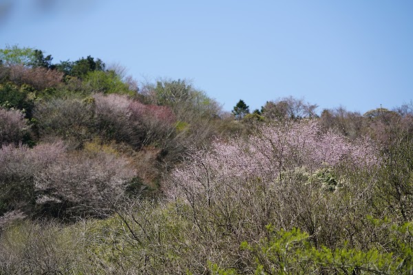 箱根峠 3