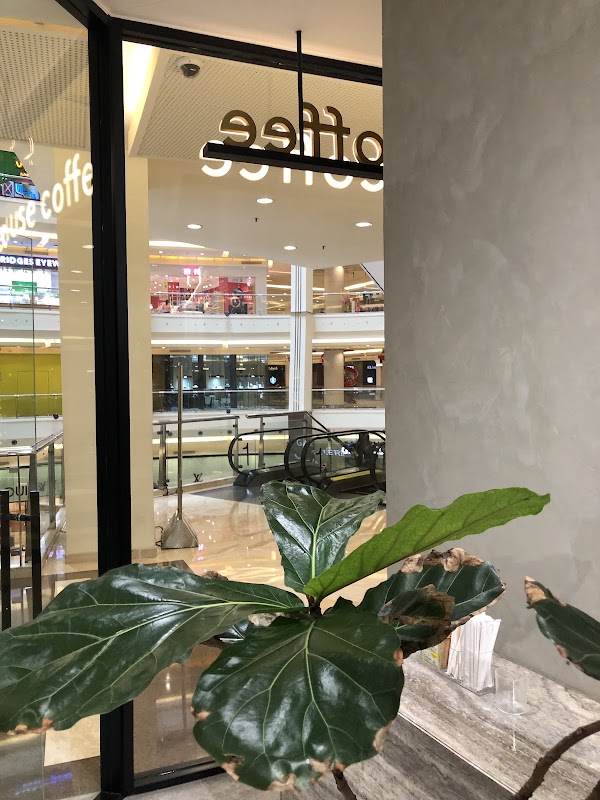 harlan + holden coffee - pacific place