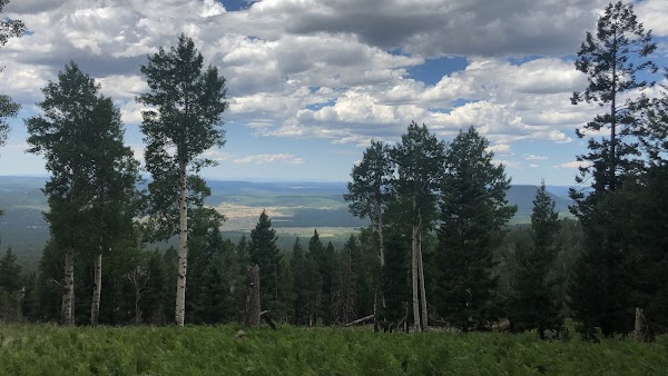 Kachina Trail