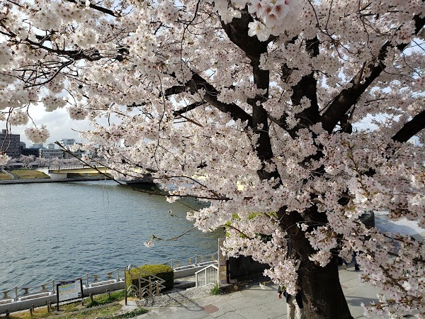 Sumida River 1
