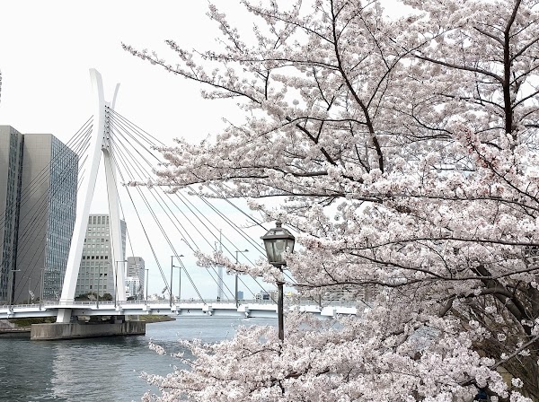 Sumida River 5