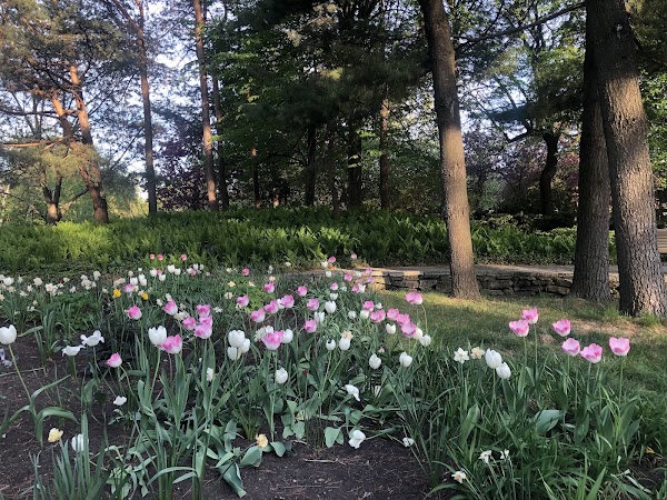 Jardins des Floralies 5