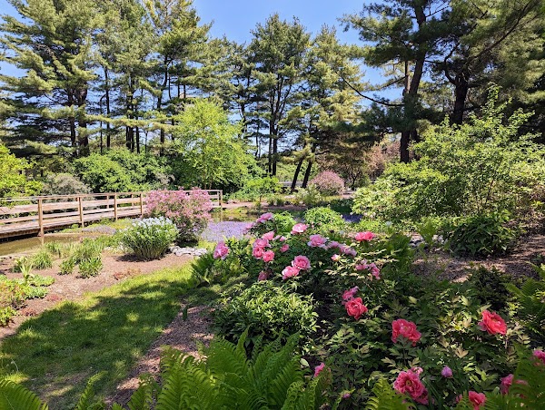 Jardins des Floralies 4