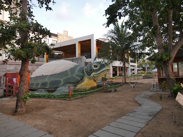 Kuta Beach Sea Turtle Conservation Center