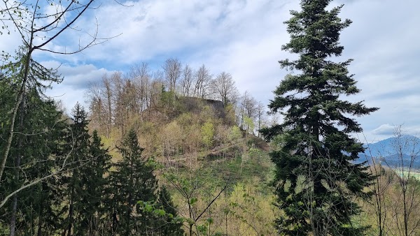 Wild Loka Castle (Old Castle) 5