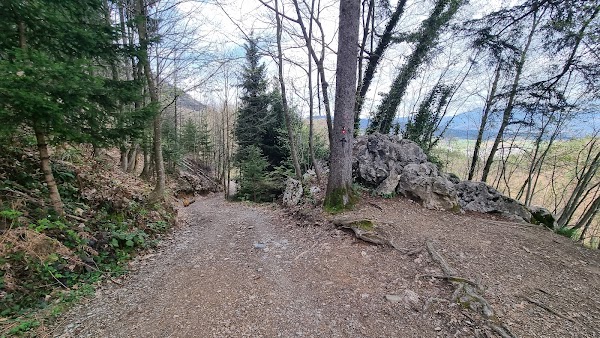 Wild Loka Castle (Old Castle) 3