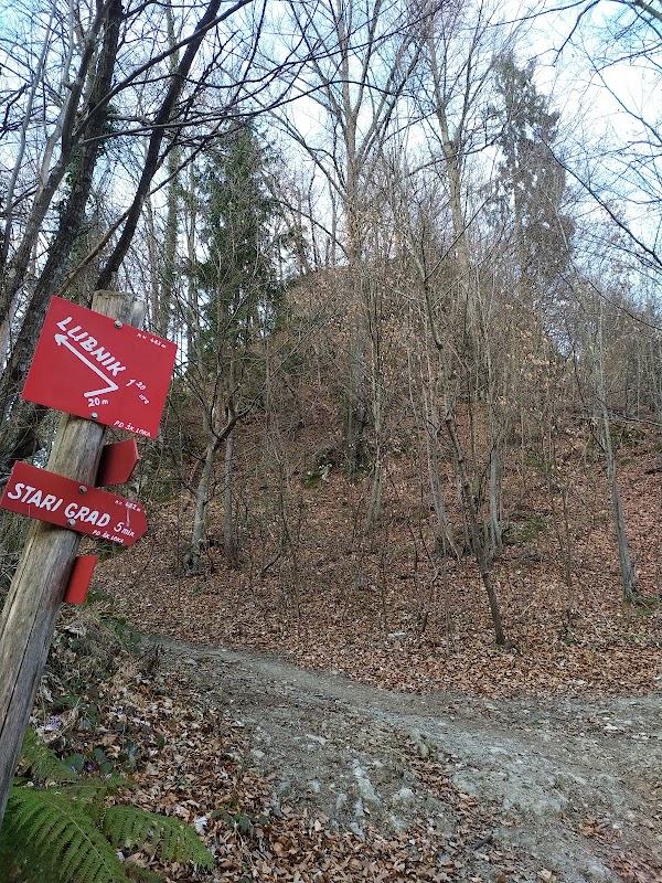 Wild Loka Castle (Old Castle) 2
