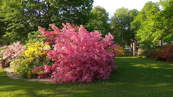 Fuksinpuisto Park