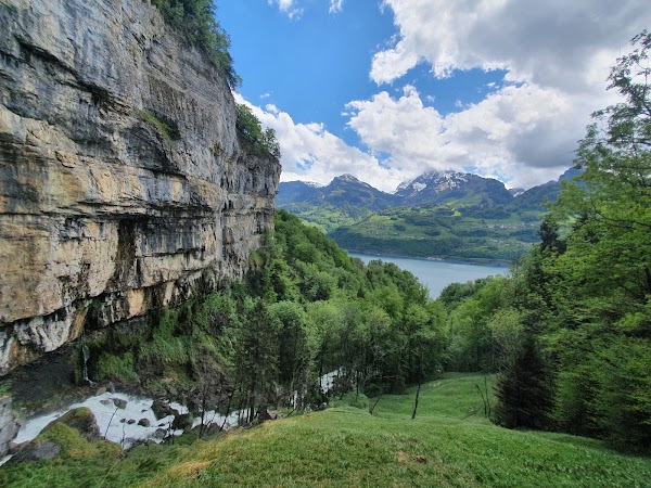 Seerenbach Falls 3