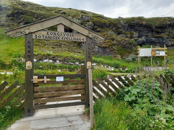 Kongsvoll Botaniske Fjellhage