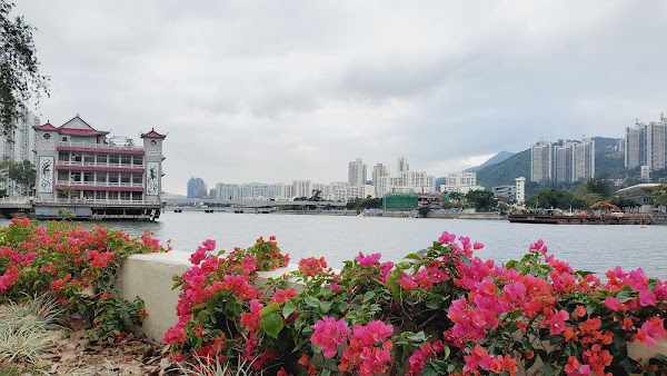 Tsuen Wan 3