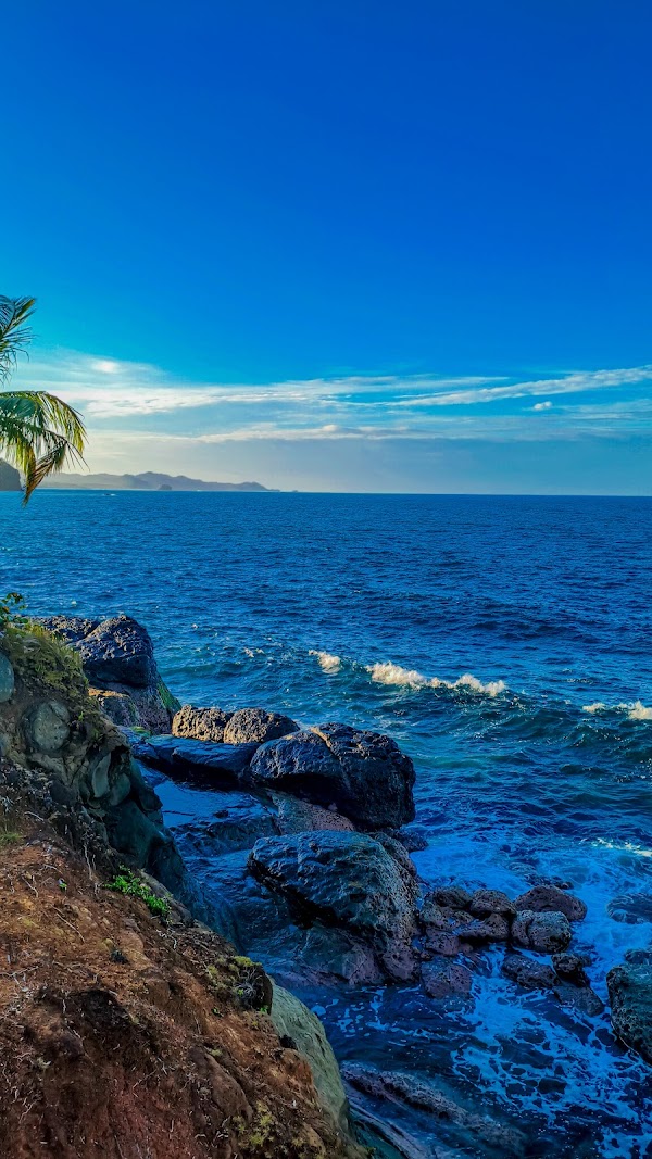 Shark Island
