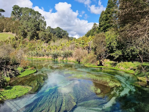 Blue Spring (Te Waihou Walkway). Leslie Road entrance is closed. 1