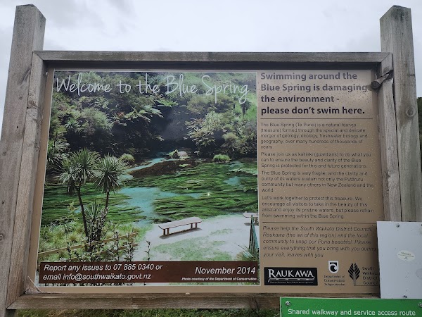 Blue Spring (Te Waihou Walkway). Leslie Road entrance is closed. 4