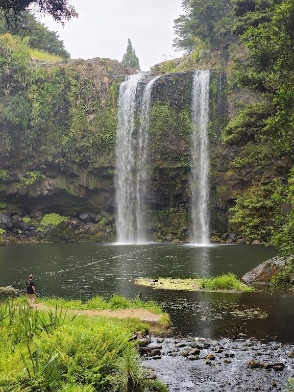 Whangarei Falls 1