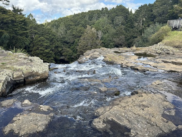Whangarei Falls 4
