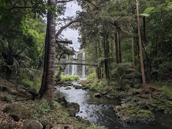 Whangarei Falls 3