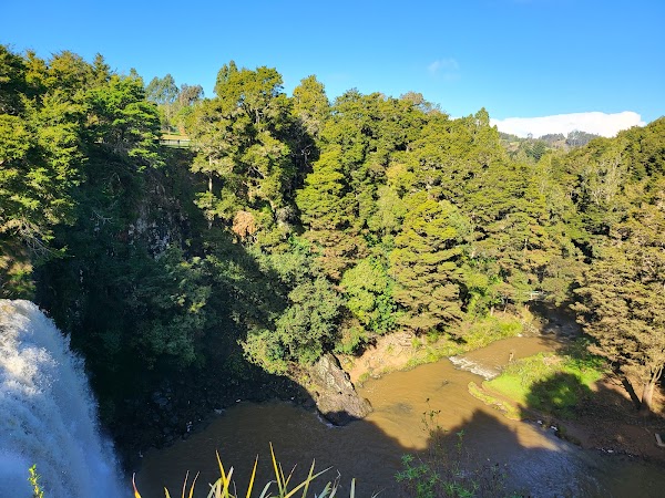 Whangarei Falls 2