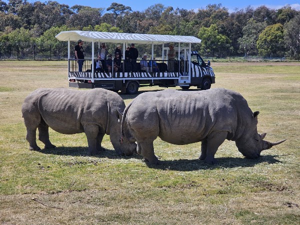 Werribee Open Range Zoo 4