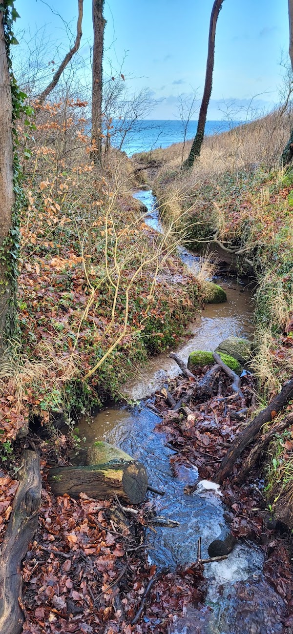 Nienhagen