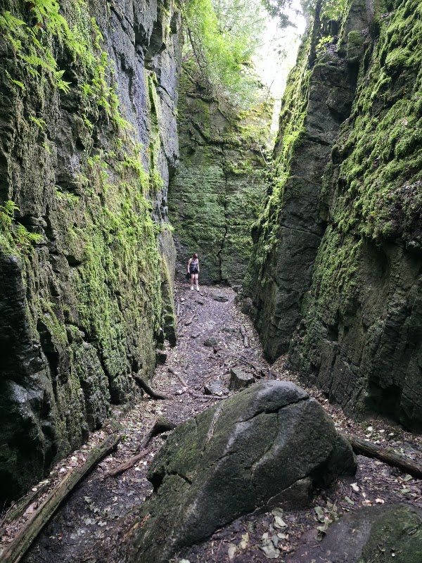 Nottawasaga Lookout Provincial Nature Reserve 1