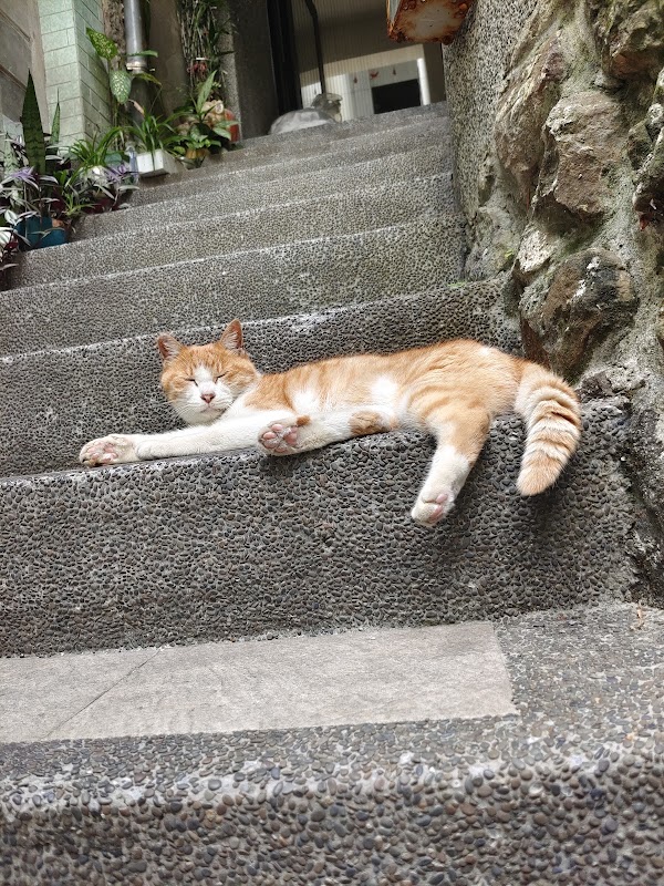 JIUFEN VILLAGE 2