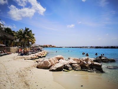 Curaçao 🪼 35