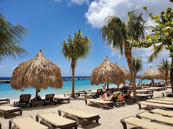 Mambo Beach 4