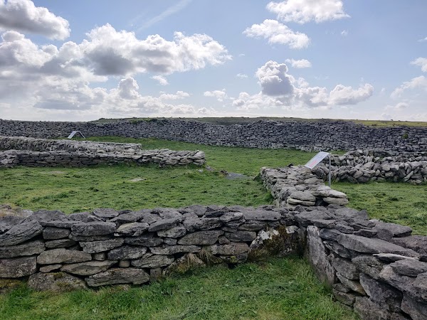 Caherconnell Stone Fort & Sheepdog Demonstrations 5