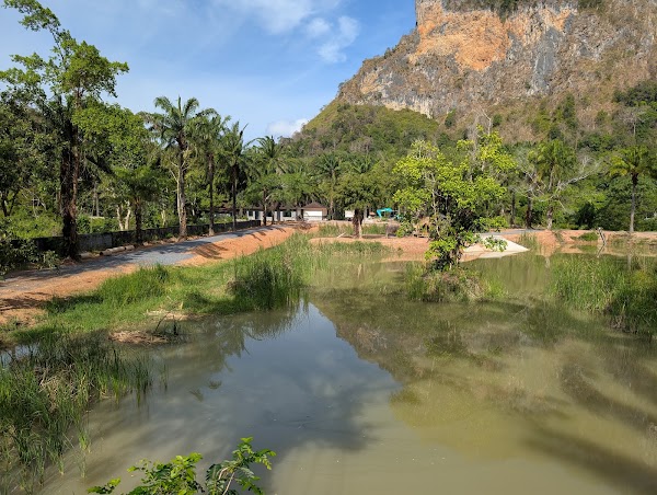 Krabi Roaming Elephant Sanctuary 4