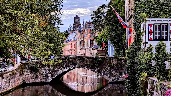 Groenerei