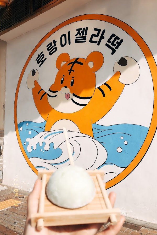 Horangi Jella Tteok Rice Cake 3