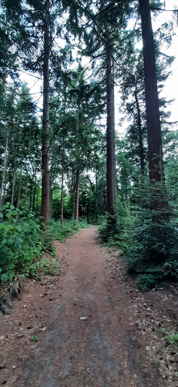 Ronde Van Het Sterrebos