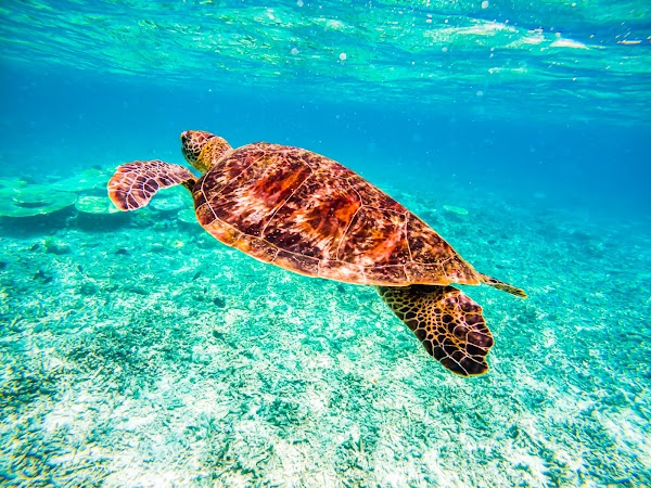 Barasu Island 3