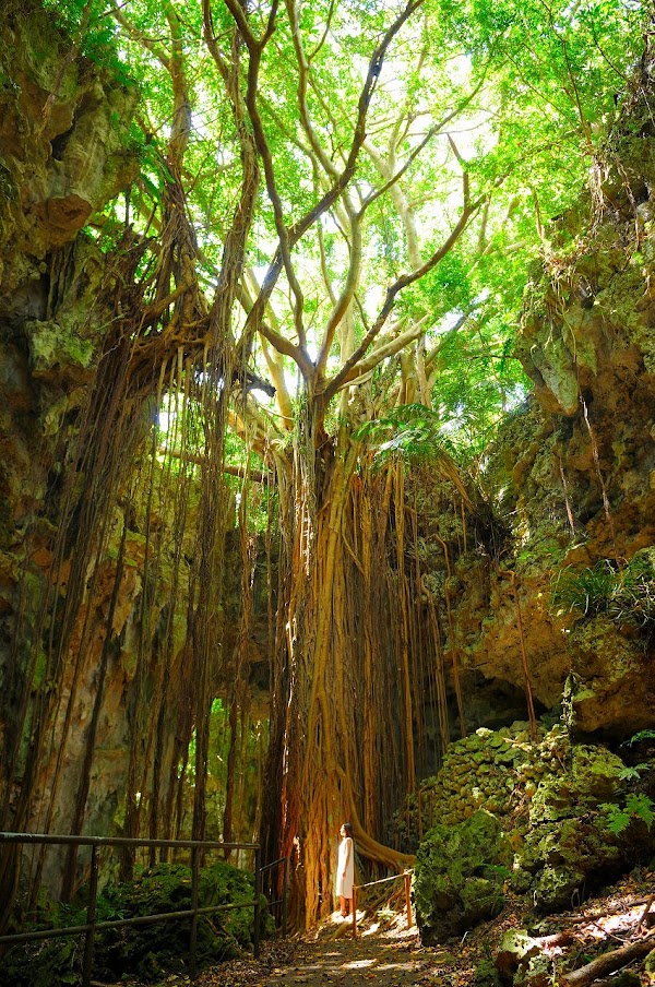 Valley of Gangala