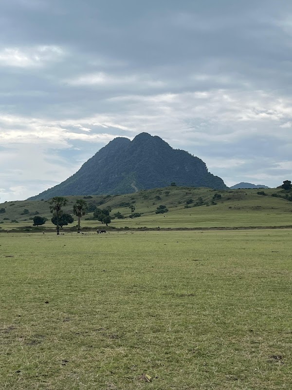 Mausui Savanna 3