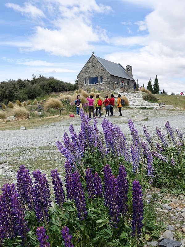 Lake Tekapo 4