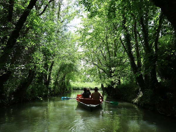 Regional Natural Park of the Marais Poitevin 5