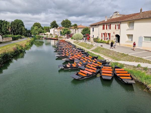 Regional Natural Park of the Marais Poitevin 3