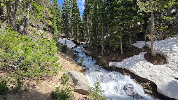 White Pine Trailhead 5