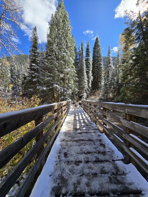 White Pine Trailhead 4