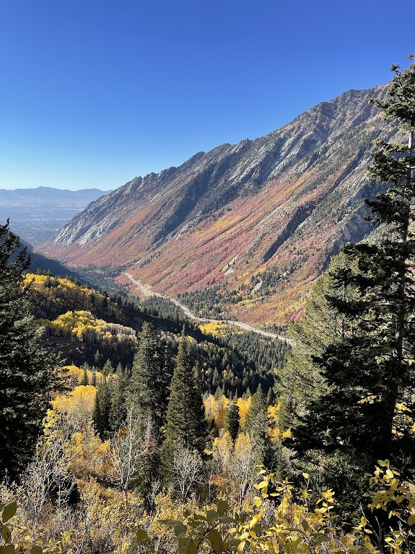 White Pine Trailhead 3