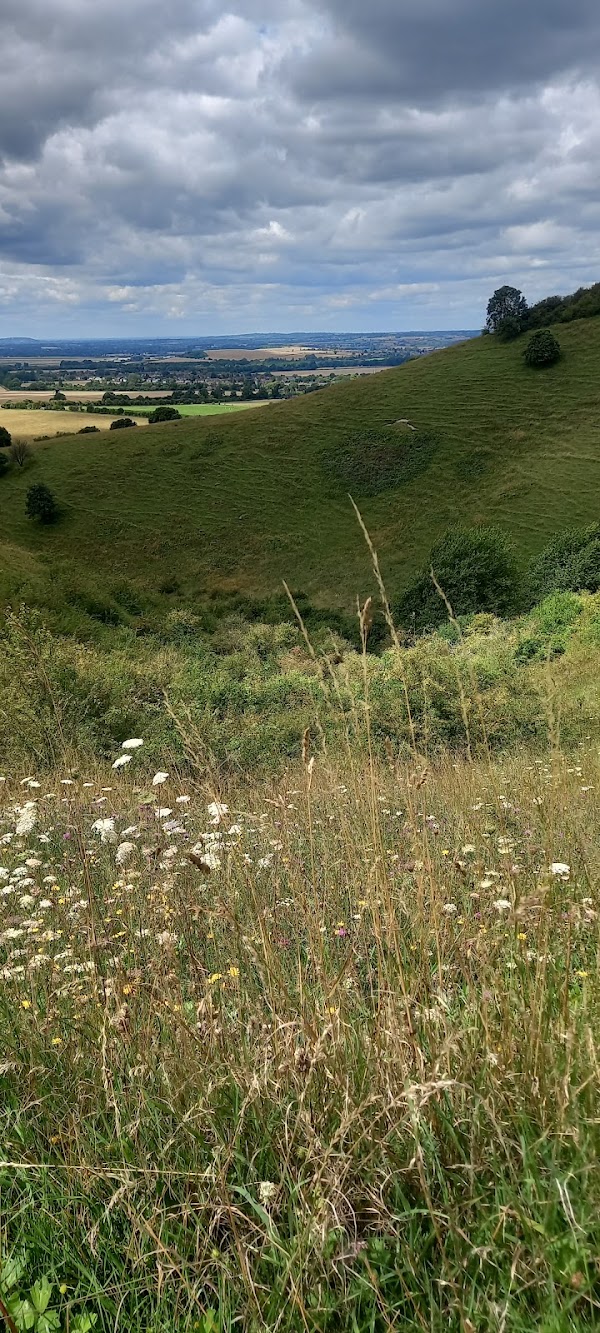 Ivinghoe Beacon Circular Walk Car Park 4