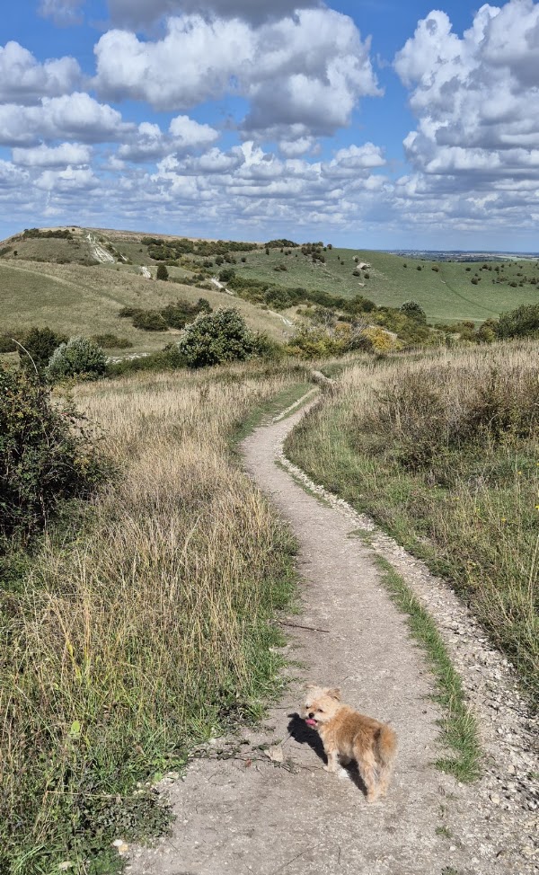 Ivinghoe Beacon Circular Walk Car Park 2