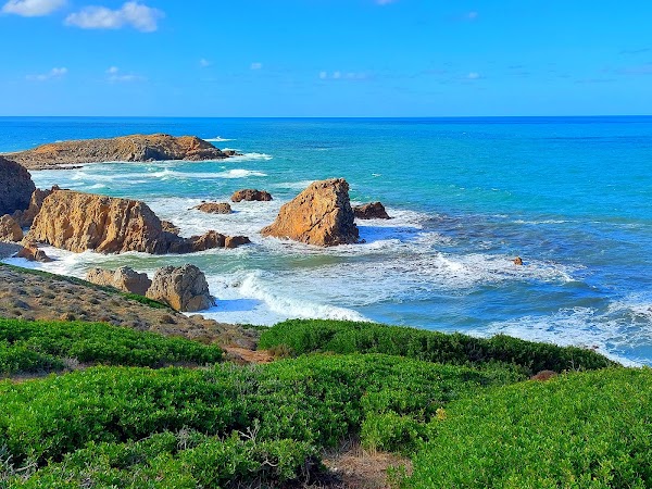 Capo Pecora 5