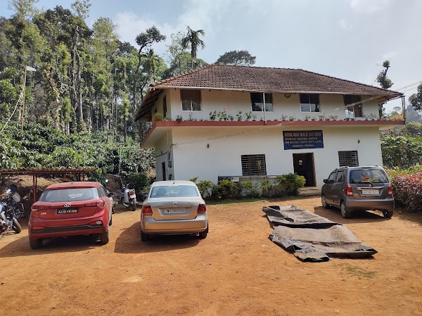 Mercara Gold Estate Coffee Plantation